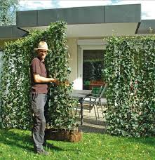Pin Auf Hecke