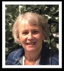 PROJECT UPDATE PROJECT NEWSLETTER ISSUE 17