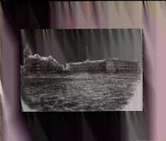 Tatler (Volume 3 1901)