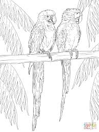And you can freely use images for your personal blog! Ara Kleurplaat Google Zoeken Bird Coloring Pages Coloring Book Art Parrots Art