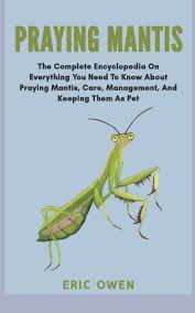 Check out our pet praying mantis selection for the very best in unique or custom, handmade pieces did you scroll all this way to get facts about pet praying mantis? Praying Mantis The Complete Encyclopedia On Everything You Need To Know About Praying Mantis Care Management And Keeping Them As Pet Owen Eric 9798693678989 Amazon Com Books