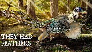 They Had Feathers Is The World Ready To See Dinosaurs As They Really Were Dinosaur Discovery Feathered Dinosaurs Prehistoric Animals