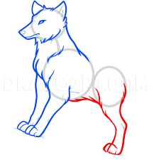 We have a step step guide for you. How To Draw Anime Wolves Anime Wolves Step By Step Drawing Guide By Dawn Dragoart Com