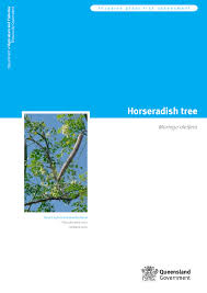 Image result for Humularia descampsii