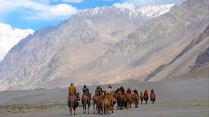 Here you can calculate how many camels your girlfriend or boyfriend is worth. Turkic Links With Ladakh Region Once Gateway Of South Central Asia