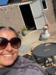 Frank's Missus, having just regurgitated the mealworms I fed her, is now  watching over her floofs tucking in (there's actually two floofs there, but  Floof 1 is obscured by Floof 2).