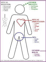 Definition of intersex in the definitions.net dictionary. Definition Of Terms Gender Sexual Diversity Education Resources Library Home At Fox Valley Technical College