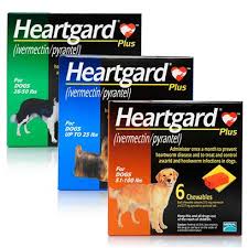 heartgard plus chewables for dogs