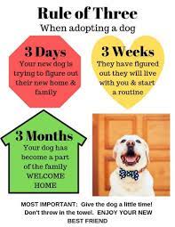 Precious paws rescue is a registered charity, all breed dog rescue, based in simcoe county. An Important Reference Project Precious Rescue Inc Facebook