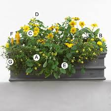 10 Of Our Best Butterfly Container Garden Ideas Container Gardening Container Garden Design Butterfly Garden Plants
