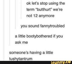 Ok Let S Stop Using The Term Butthurt We Re Not 12 Anymore You Sound Fannytroubled A Little Bootybothered If You Ask Me Someone S Having A Little Tushytantrum Funny Tumblr Posts Tumblr Funny