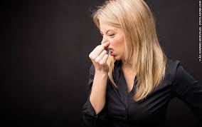 Face Reading Nose Psychologist World face reading nose psychologist world