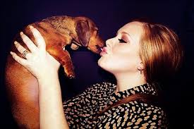 Nancy Neveau (neveau2)