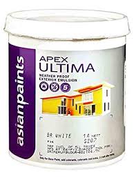Asian Paint Apex Ultima 20 L White Amazon In Home