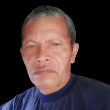 Hutan pinus Purwojiwo Kalikajar Wonosobo, salah satu hutan pinus terindah  di lereng Gunung Sumbing