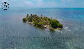 Lil Wayne has reportedly bought his own private island in Belize ...