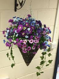 We did not find results for: Eternal Bloom Large Cone Hanging Basket Artificial Hanging Basket Coloured Basket Out Door Mixed Wild Flowers Trailing Buy Online In Guernsey At Guernsey Desertcart Com Productid 49399844