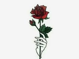 Maybe you would like to learn more about one of these? Internasional Setangkai Mawar Merah Untuk Jonghyun
