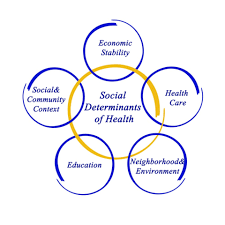 ochin pilots getting social determinants data into epic