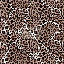 Aus batlló concept in san sebastian, spain. Leopard Oder Jaguar Nahtlose Muster Modernes Tierfelldesign Leinwandbilder Bilder Wiederholend Teppich Realistisch Myloview De
