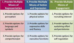 3 Principles Of Udl From Cast It Cast Learning Styles