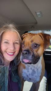 Troubled by daily regurgitation in a 4-year-old dog