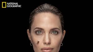The renowned filmmaker and philanthropist teamed up with the united nations educational, scientific and cultural organization (unesco) and french cosmetics company guerlain to support a new women for bees program. Pic Angelina Jolie Gets Covered In Bees For National Geographic