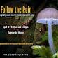 Fungi Film documentary comes to Eugene, Oregon