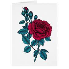 Red Rose Zazzle Com Au In 2021 Rose Drawing Red Roses Rose Tattoos