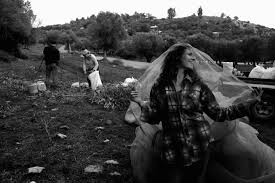 Adi Segal Photographer added a...