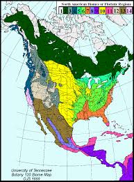 Biomes In The United States Tree Communities Of The Forest Biomes Of North America Biomes Forest Map Boreal Forest