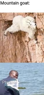 Image tagged in mountain goat,what the fu-,physics,memes - Imgflip