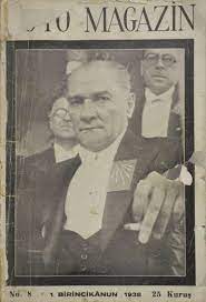 resim panosundaki pin