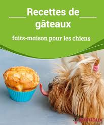 Epingle Sur Alimentation