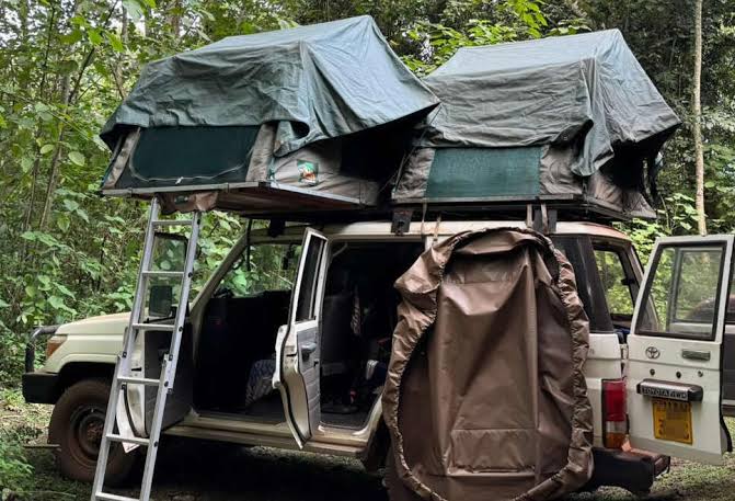 4x4 Rooftop Tents in Rwanda | Self-Drive Safari Camping with Car Rentals  Rwanda