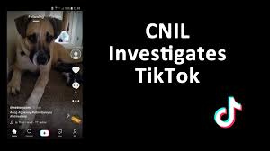 List of 24 best cnil meaning forms based on popularity. France S Cnil Investigates Tiktok Askcybersecurity Com