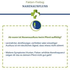 Ab wann hat ein hund fieber? Nasenausfluss Beim Pferd Wann Ist Er Gefahrlich Und Was Ist Harmlos Tierarzt Reiten Lernen Pferdepflege