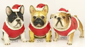 Not to mention that they are excellent dogs for small living spaces as they do not need a great deal of exercise. Christmas Fawn Or Pied French Bulldog Bulldog Festive Ornament Warwick Whelping Boxes