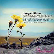 Pin Di Jodoh