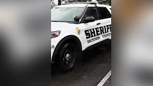 Image result for Sheriffs Tan 2018 Fleet