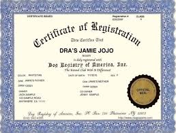 How to paper train a for paper training, all you really need is old newspapers, some food treats to reward eliminating in the any time they do eliminate on the paper without any of your help, you also want to praise them heavily. Deluxe Dog Registration With Gold Foil Seal Dog Papers