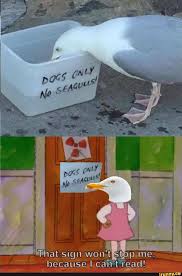 That Sign Won T Stop Me Because I Can T Read