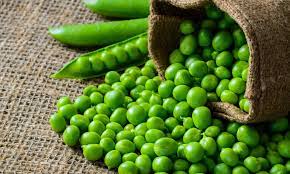 For vegetarians on dialysis, mature peas may provide a significant amount of protein toward their daily goal. Nutritionist Reveals 3 Reasons To Eat More Peas Daily Mail Online