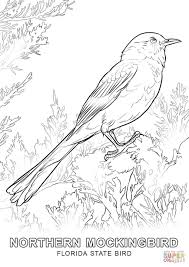 Florida State Bird Super Coloring Bird Coloring Pages Flower Coloring Pages Coloring Pages
