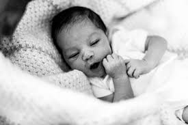 Aiden Anthony Flowers: Newborn Session — Zea Corrinne.