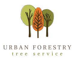 How would you rate this business? Urban Forestry Tree Service Denver Co Cylex