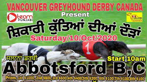 Ngrc book of greyhound racing: à¨¸ à¨• à¨° à¨• à¨¤ à¨† à¨¦ à¨† à¨¦ à©œ Vancouver Greyhound Derby Canada Dog Races 10 Oct 2020 Youtube