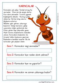 Okuma Anlama Metni Karincalar Okuma Anlama Metinleri Ozgun Bir Calisma Olarak Pdf Formatinda Hazirlanmistir S Okuma Kitap Haftasi Alfabe Calisma Sayfalari