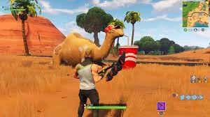 There's a new type of challenge in the world of fortnite: Does Anyone Know If Sipp Camel Is In Canny S New Biome I Need To Know Fortnite