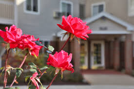 5507 w saginaw hwy, lansing, mi 48917. Covington Woods 55 Living Lansing Mi Apartment Finder